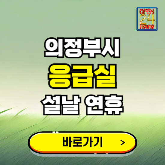 의정부시 설날 연휴 비상진료 응급실 병원 찾기 ❘ 내근처 24시 야간 심야 휴일 가능한 곳