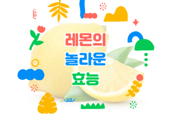 레몬의 놀라운 건강 효과! 항암, 항염증 작용