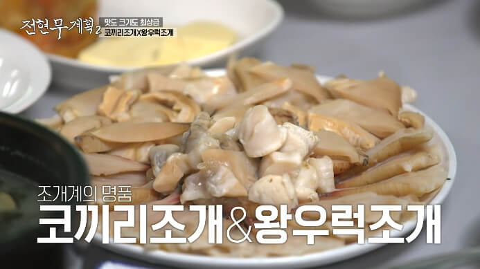 전현무계획2-코끼리조개-왕우럭조개