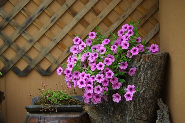 고향사랑기부제