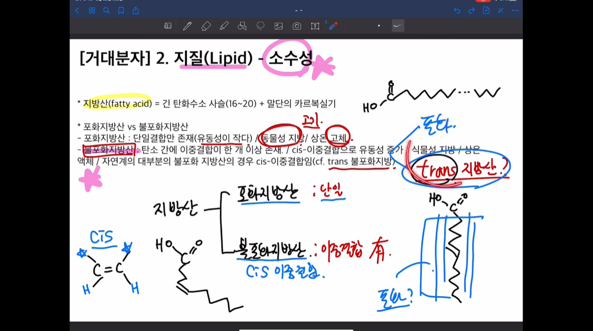 포화지방 설명