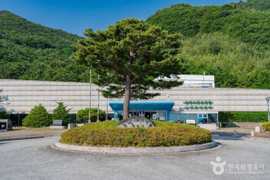 강릉 가볼만한곳 베스트 10