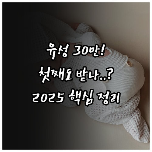 유성구 출산장려금 30만원 첫째아도 ..