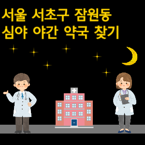 서울 서초구 잠원동 심야 야간 24시 약국 찾기