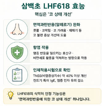 삼백초lhf618-효능-뜻-추출방법-차이-가격-간-효과-고르는방법