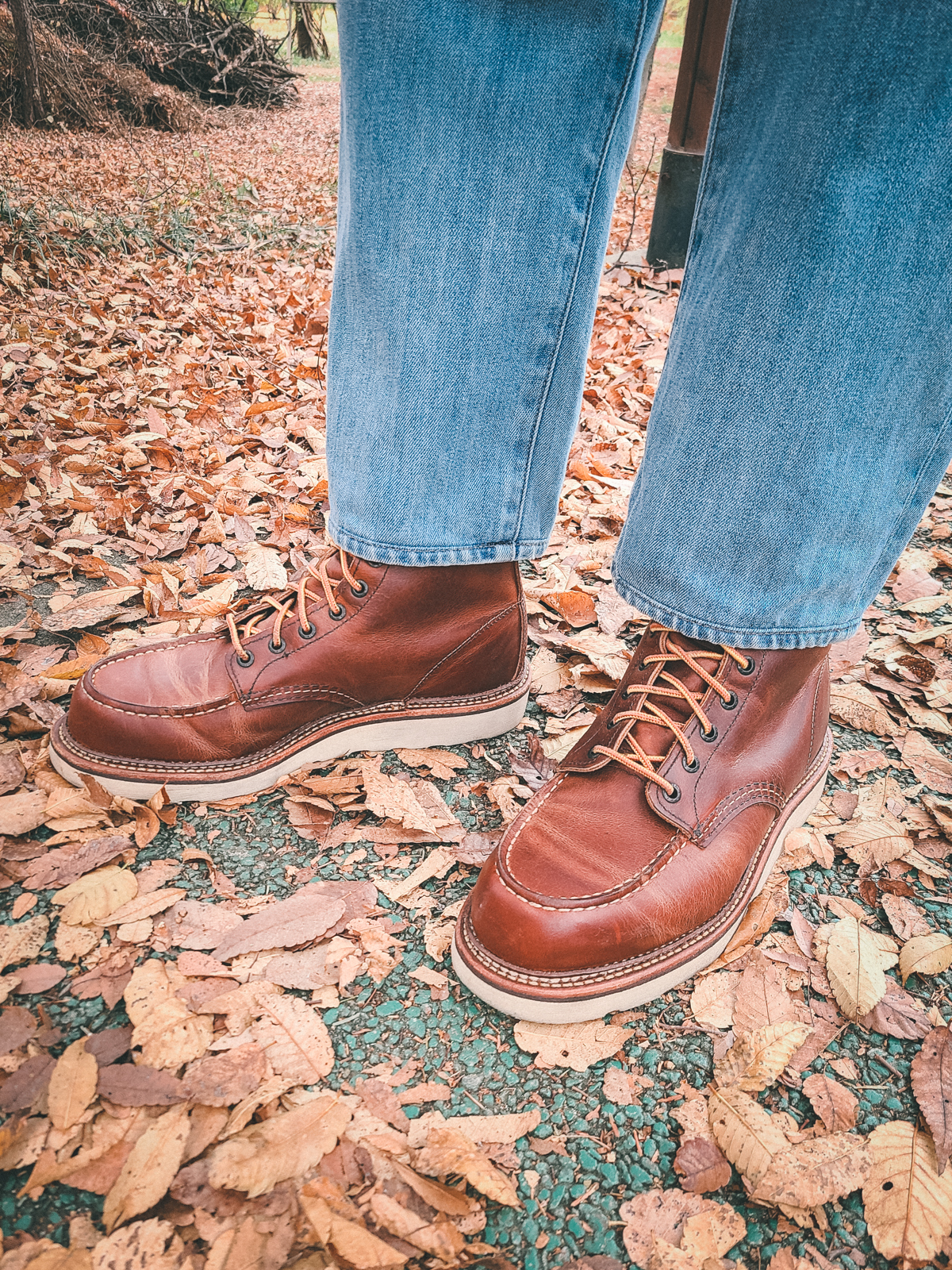 이제 다시 부츠를 꺼낼 때가 된듯!