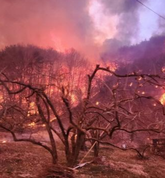 경남 산청군 산불