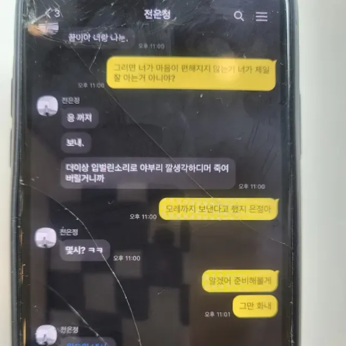 전은정