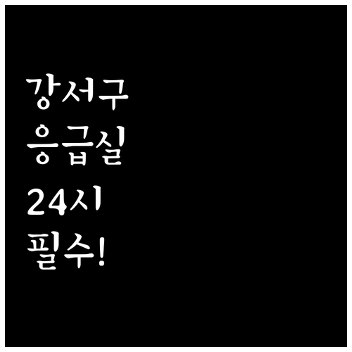 강서구 24시간 동물 병원 응급 진료..