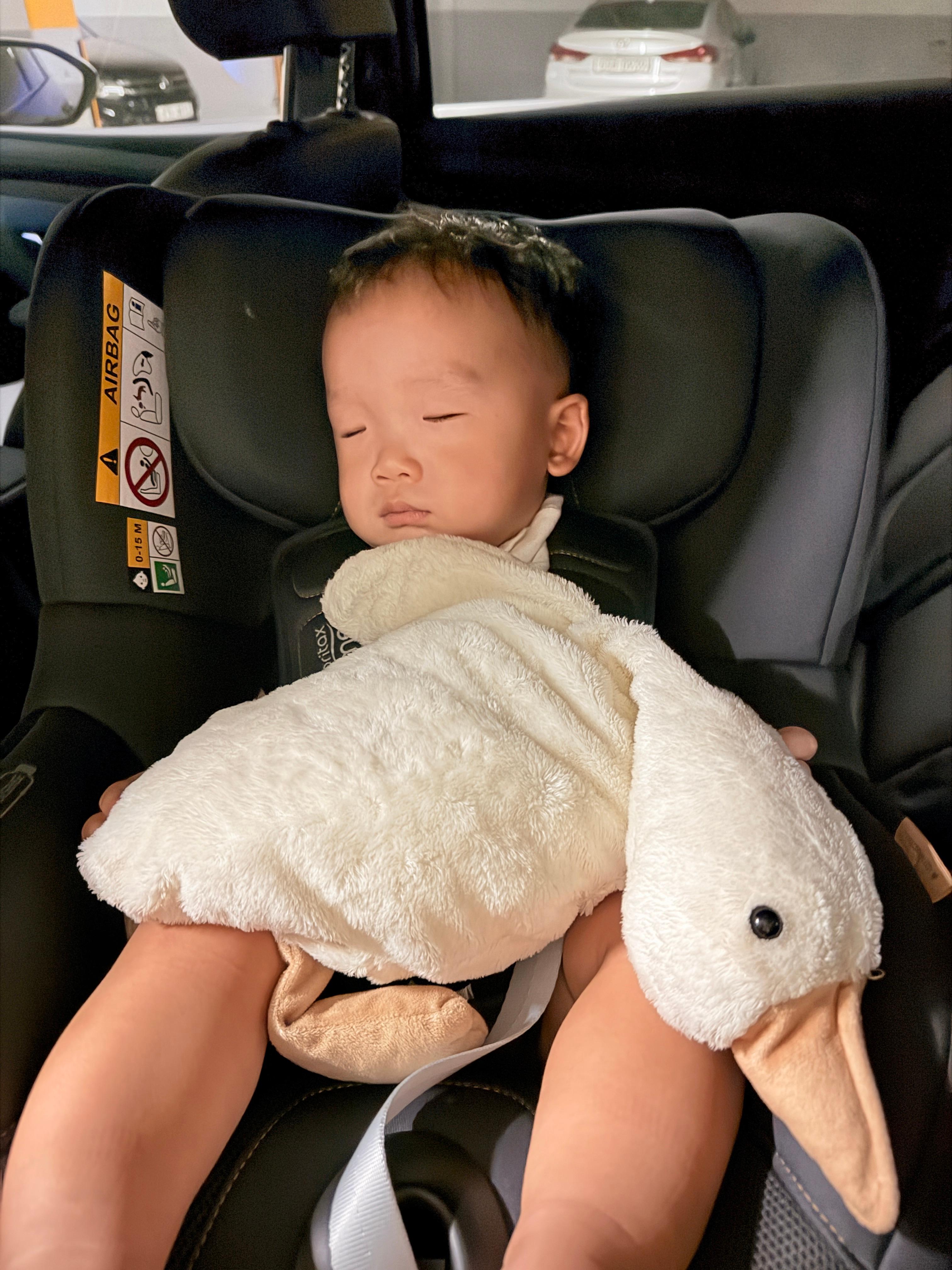 신나게 놀고와서 지쳐 잠든 아기 솔블리