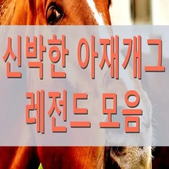 아재개그 레전드 모음 말장난 끝판왕 대방출_14
