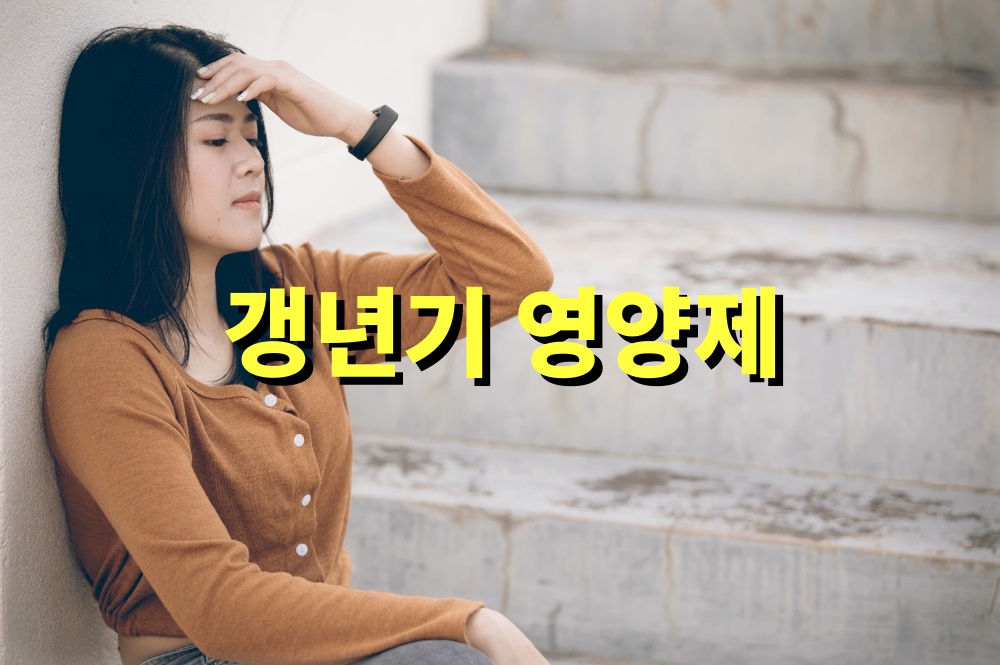 갱년기 영양제 효능 프로바이오틱스