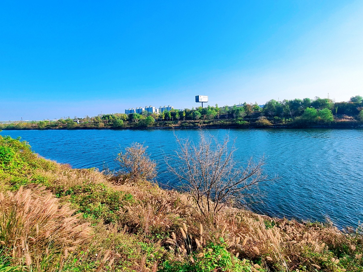 2024 인천 계양 아라온 가을꽃 전시회&amp;#44; 국화 축제(~11.10.): 야경&amp;#44; 아라뱃길&amp;#44; 전통놀이 체험