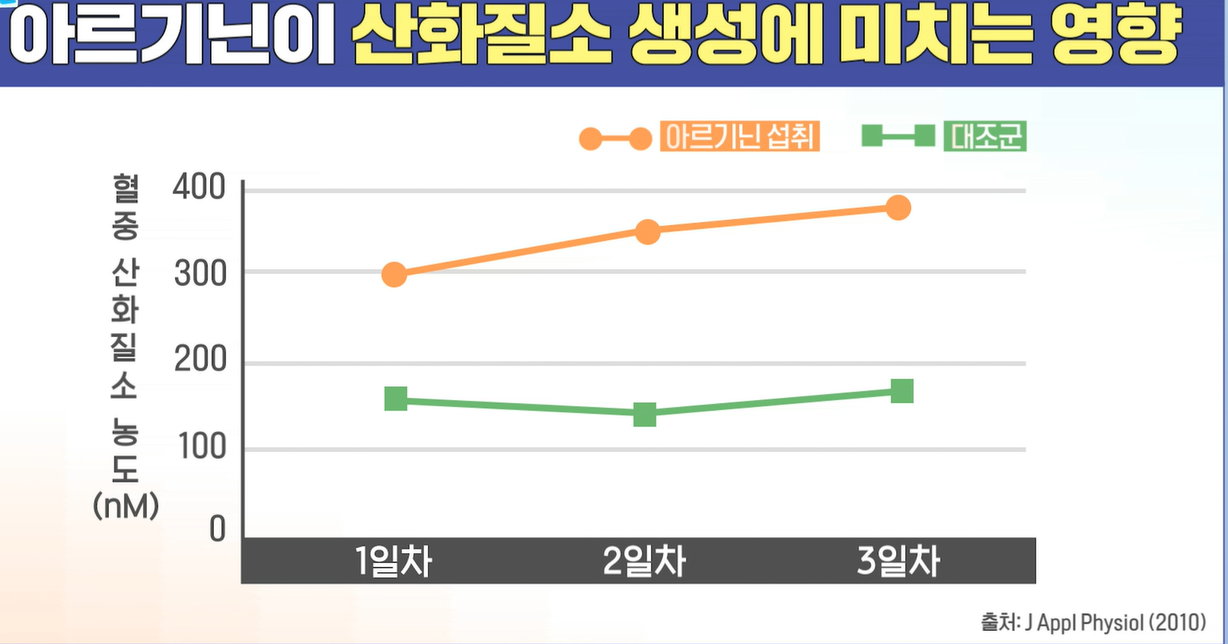 아르기닌의 효능