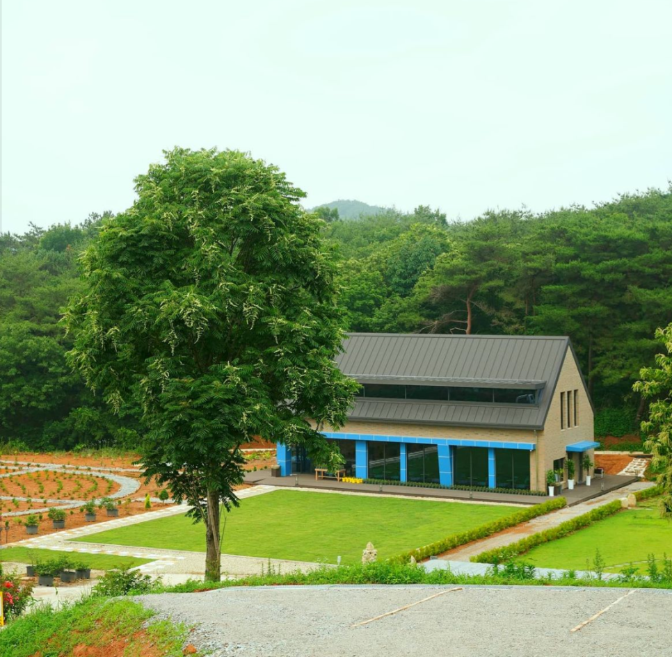 고창 청농원 라벤더 축제
