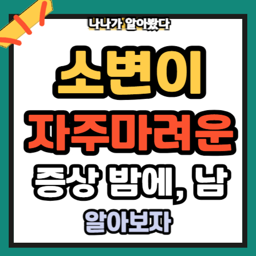 소변이 자주 마려운 증상 밤에 수면중 남녀