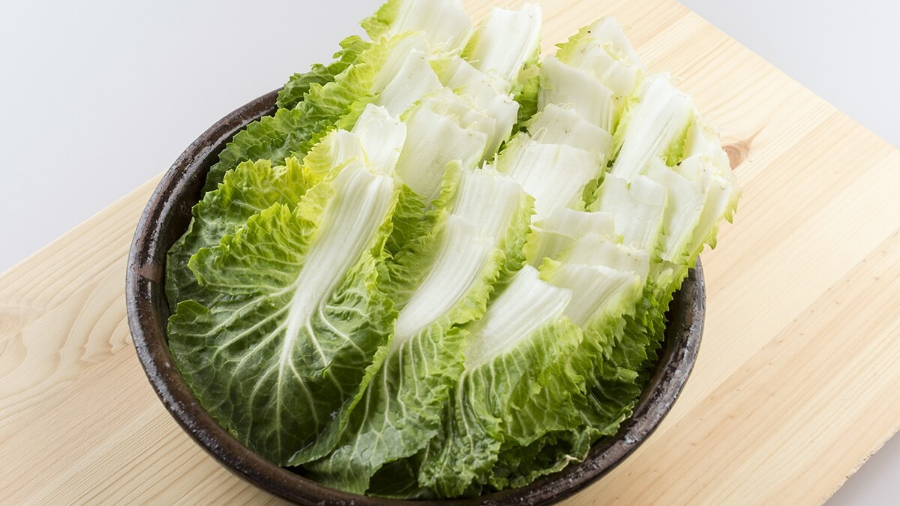 봄동 겉절이 황금레시피