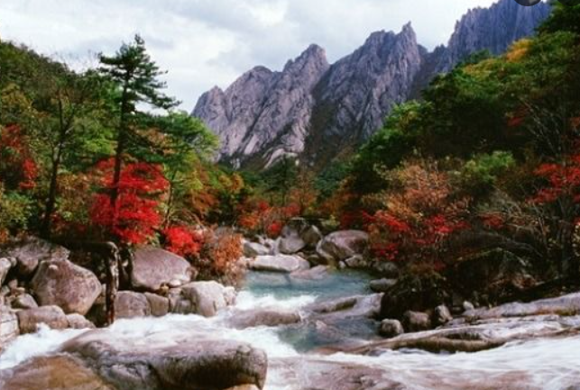 강원도 2025 단풍 산행 추천 코스 ❘ 설악산&middot;오대산&middot;치악산 절정 시기 안내