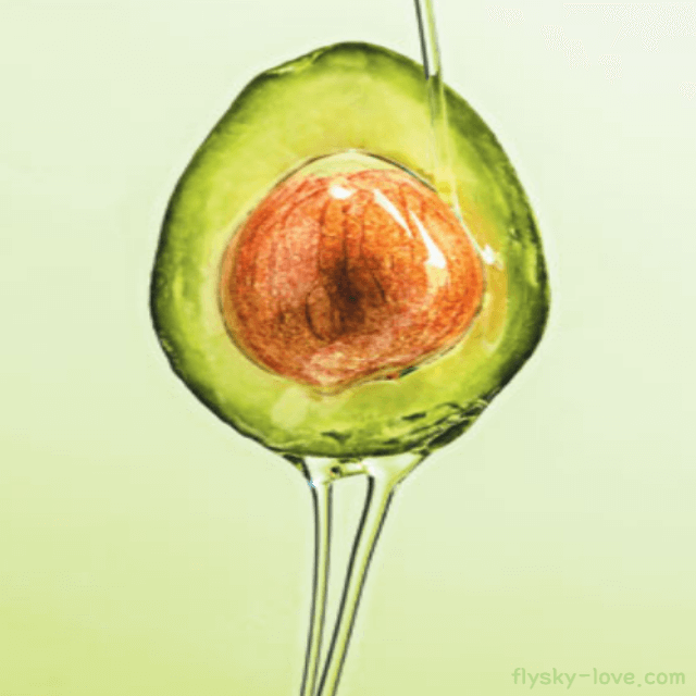 아보카도 오일(Avocado Oil)