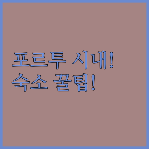 포르투 포르토 여행 숙소 추천 시내 ..