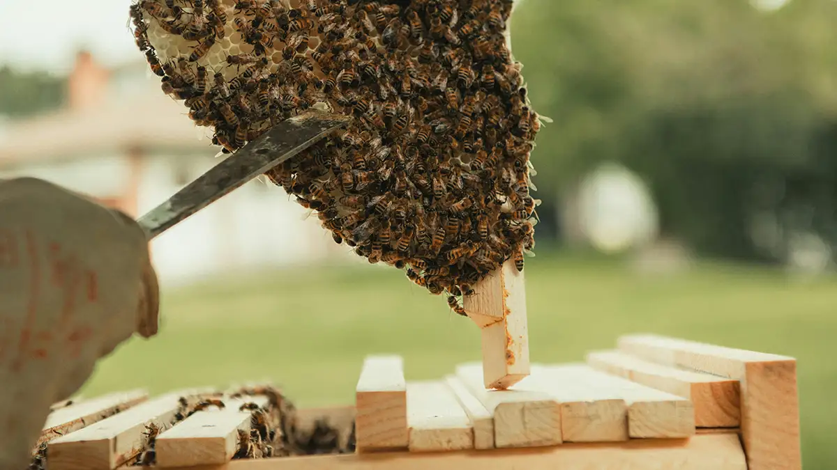 사회적 기업 Bybi의 사회적 가치와 고용 모델