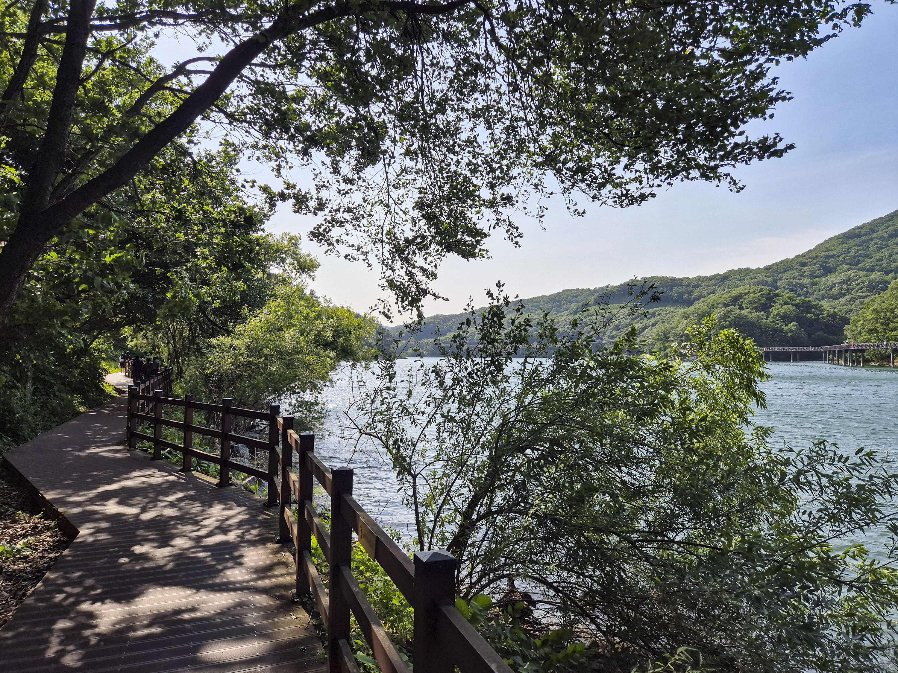 데크가 깔린 마장호수 출렁다리 둘레길