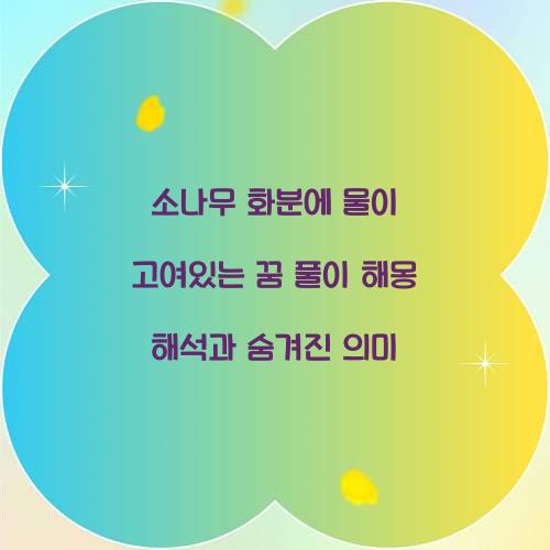 소나무 화분에 물이 고여있는 꿈 풀이 해몽 해석