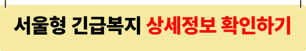 서울형 긴급복지 생계지원 사업 관련 사진