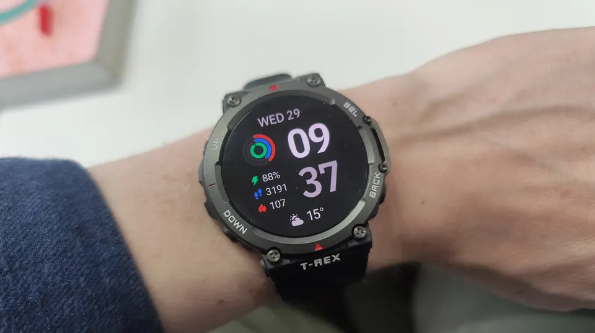 2.어메이즈핏 티렉스 2