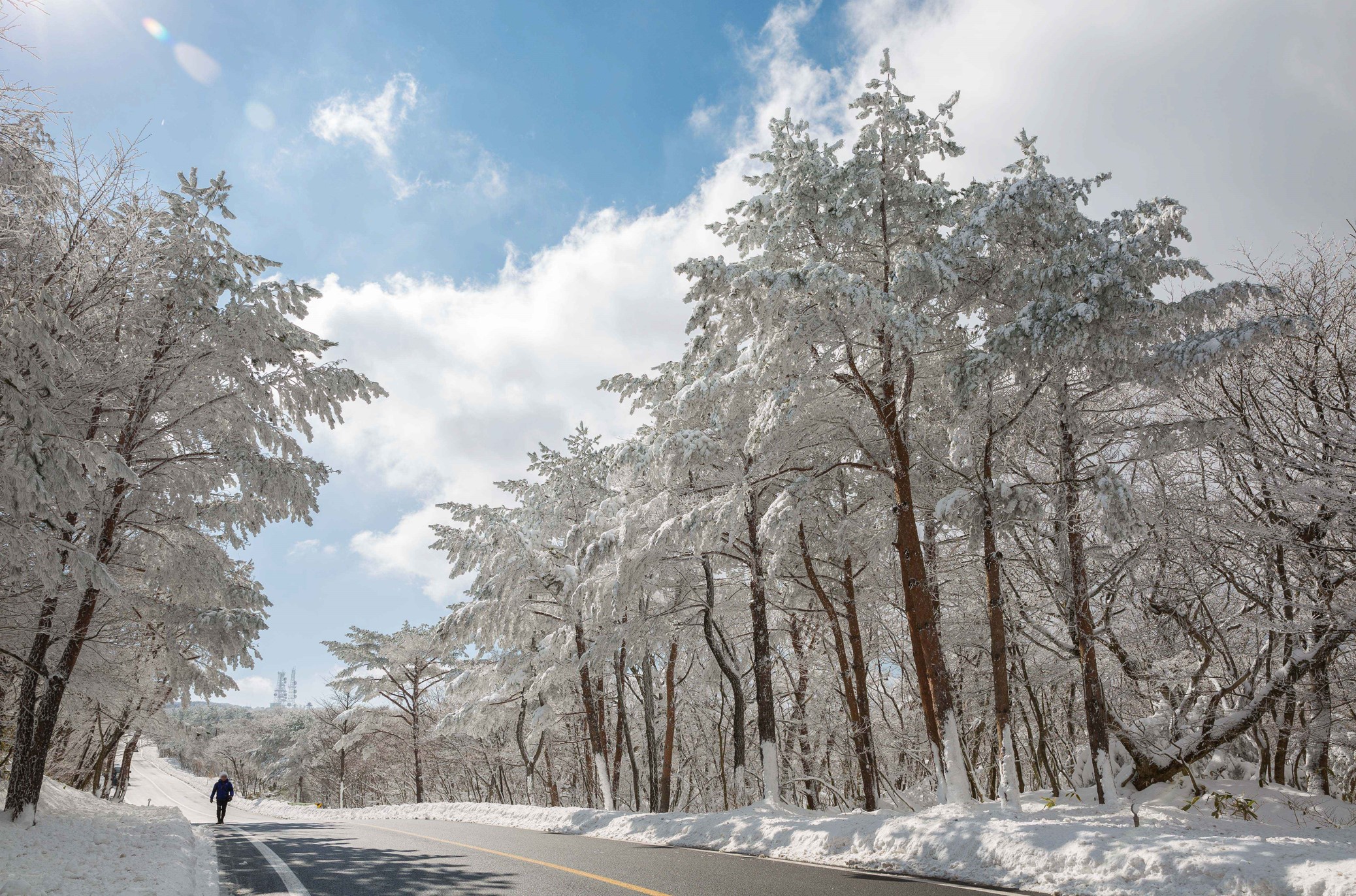 제주-1100도로의-겨울