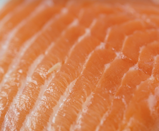 심혈관 질환의 위험을 예방해주는 연어