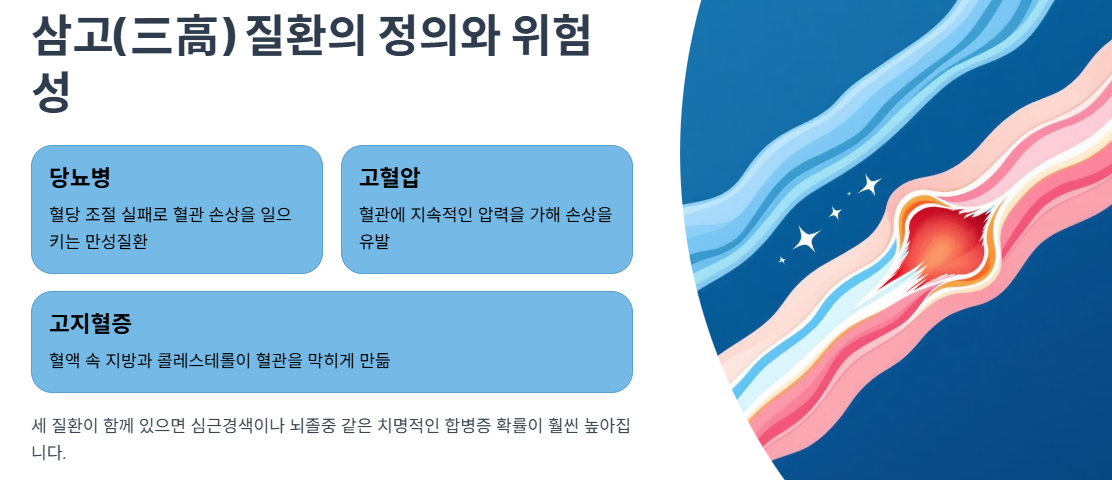 삼고(三高) 질환의 정의와 위험성