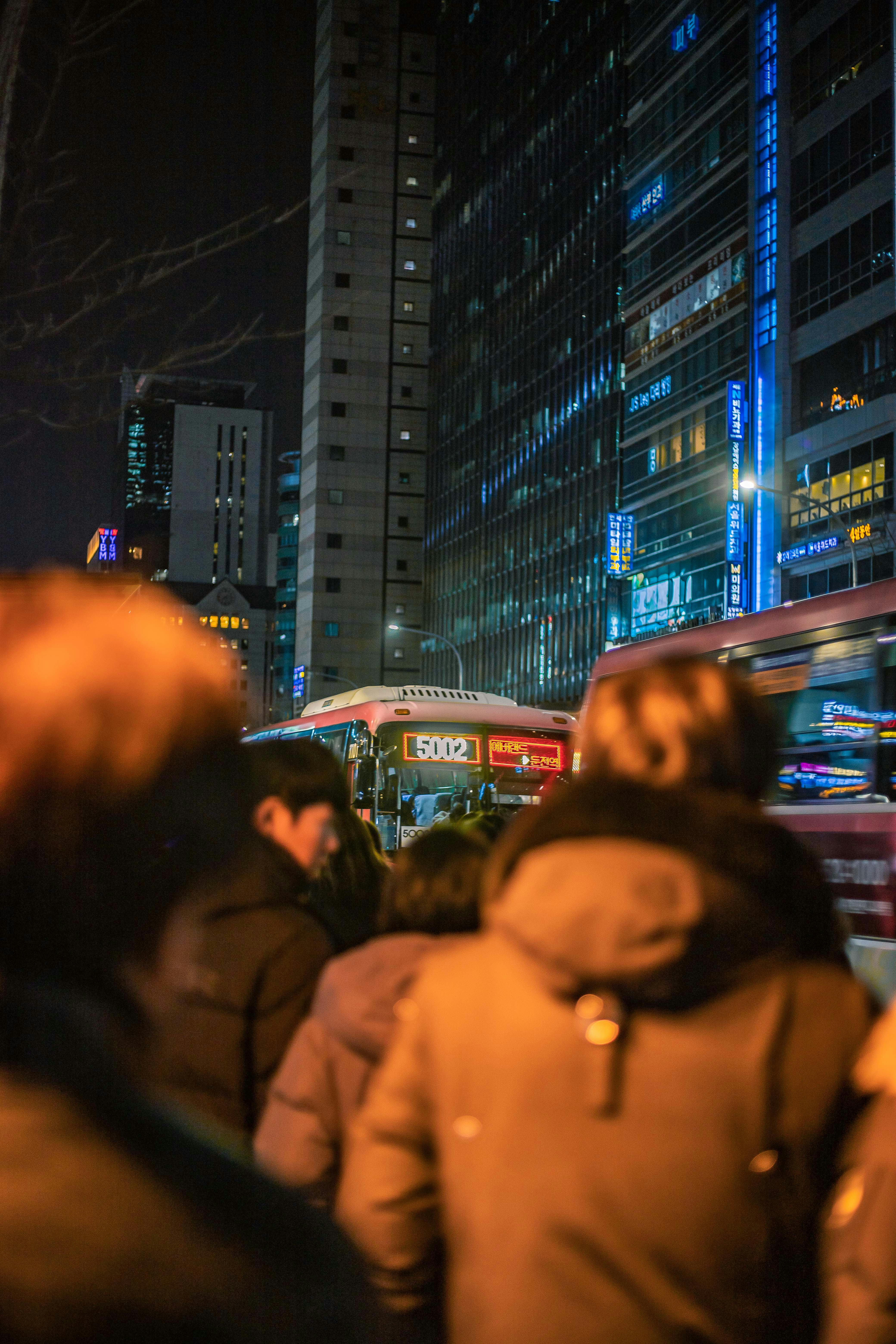 서울 무상교통 완벽 가이드