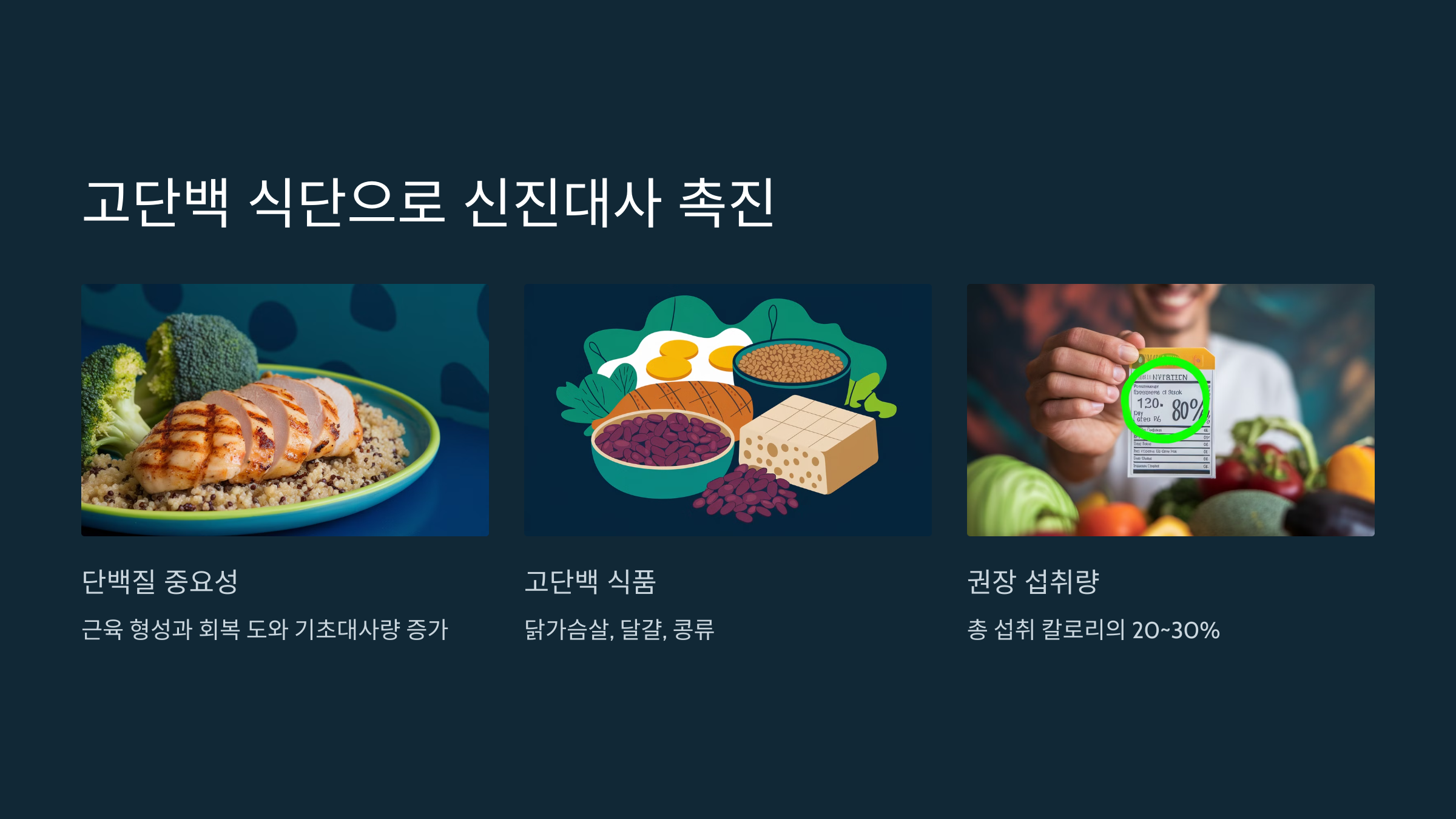 고단백 식단으로 신진대사 촉진하기
