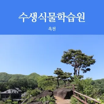 옥천 가볼만한곳 베스트10 현지인 추천 필수코스_13