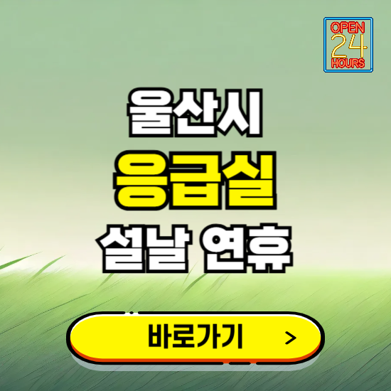 울산시 설날 연휴 비상진료 응급실 병원 찾기 ❘ 내근처 24시 야간 심야 휴일 가능한 곳