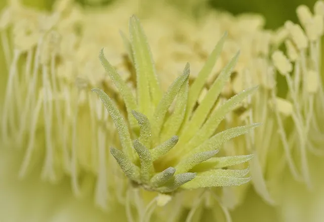 니체 차라투스트라는 이렇게 말했다 해석과 사상적 의미_3