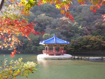 내장산 단풍