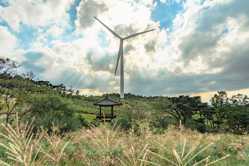 환경영향평가 (Environmental Impact Assessment, EIA)는 개발 프로젝트나 정책의 실행 전에 환경에 대한 영향을 평가하는 절차입니다