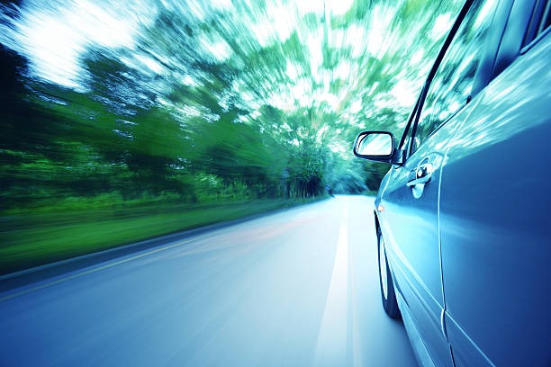 815-광복절-특별사면-조회