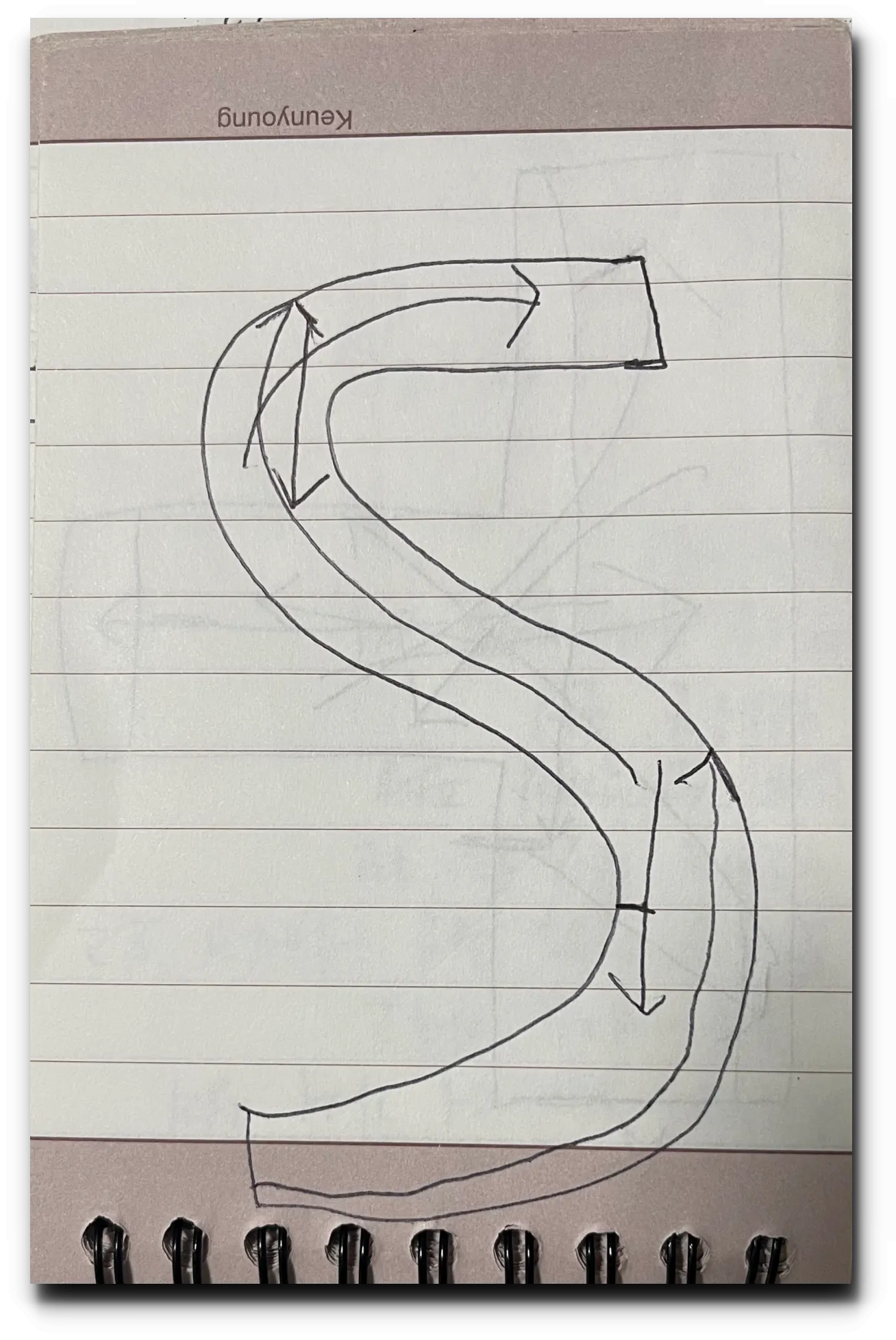 기능-S자-코스-그림