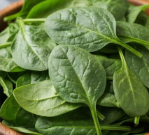 비문증 치료방법