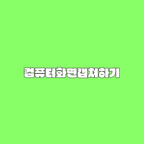 컴퓨터화면캡쳐하기