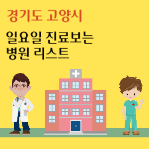 고양시 일요일 진료 병원 리스트
