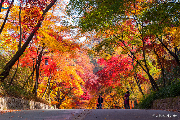 남산둘레길 단풍