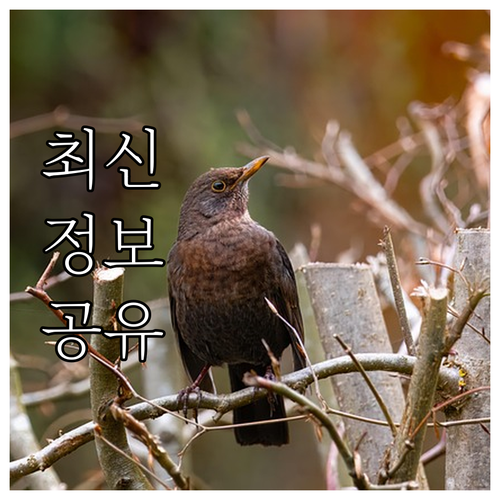 옥천군 2025 청년 전세 이자 지원..