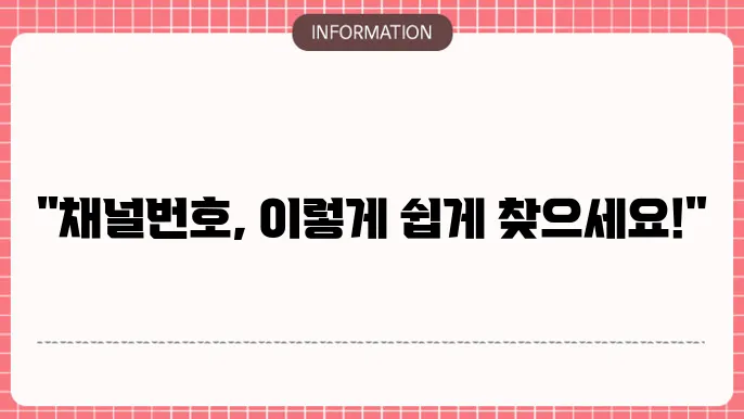 채널번호 확인하는 다양한 방법