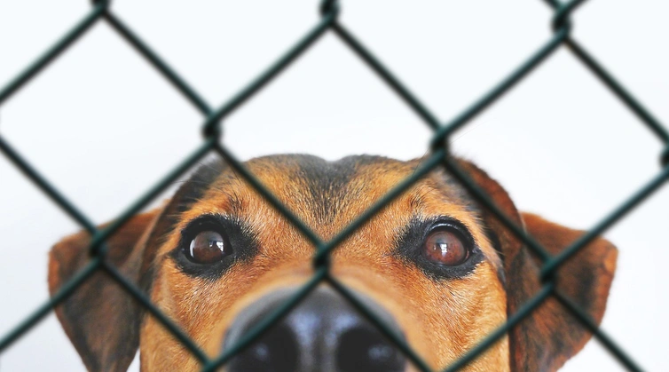 2025년 시중노임단가의 중요성