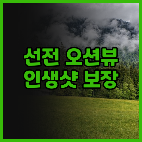 선전 호텔 추천 실버 비치 오션뷰 호..