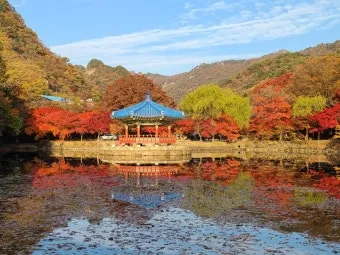 내장산 단풍 명소 단풍시기 산책로 사진스팟 한눈에_3